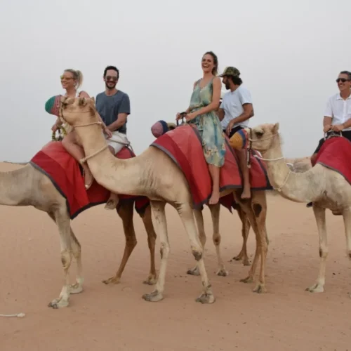 Dune Buggy with Dune Bashing in Dubai (10)