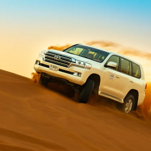 Dune Buggy with Dune Bashing in Dubai (7)